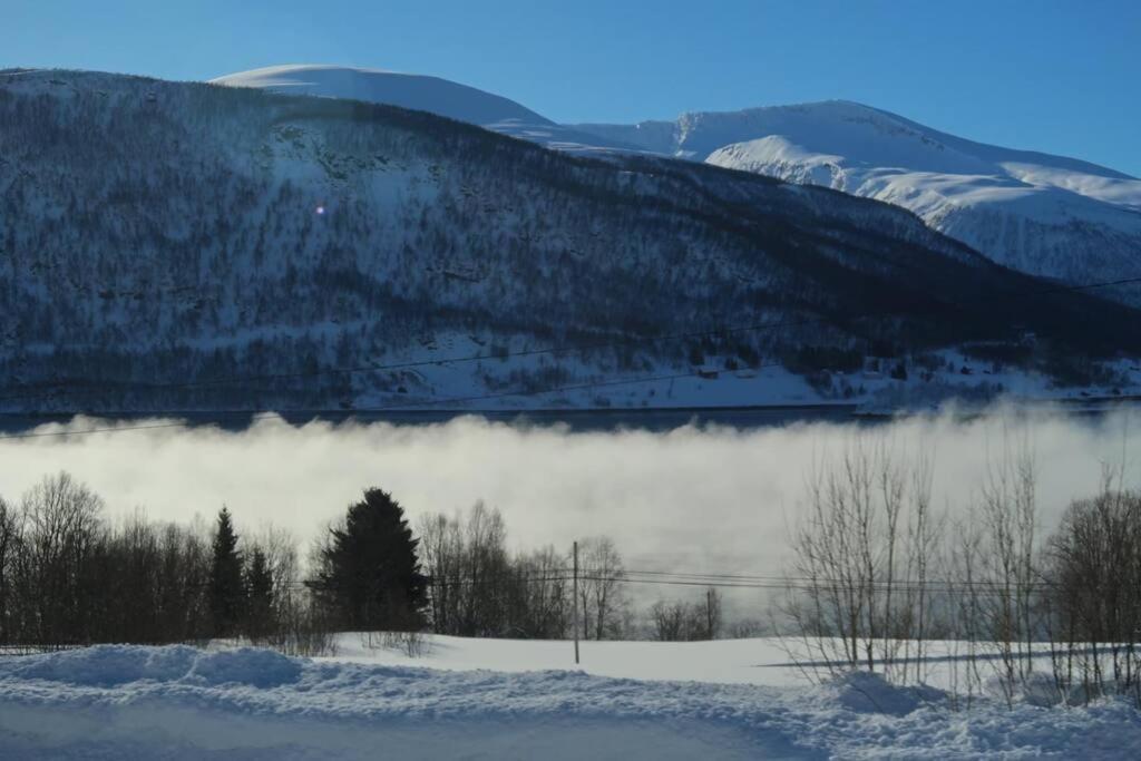 New Magnificent View Apartment Near The Centre Tromsø Zewnętrze zdjęcie