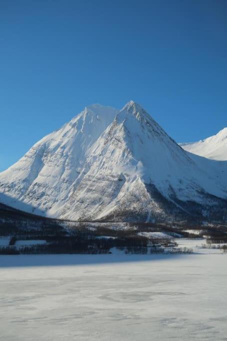 New Magnificent View Apartment Near The Centre Tromsø Zewnętrze zdjęcie